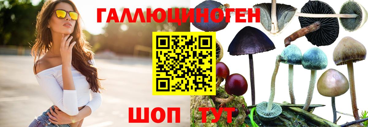 Псилоцибиновые грибы Psilocybine cubensis  Галлюциногенные грибы Psilocybine cubensis  Вход с VPN  цена   Мыски 